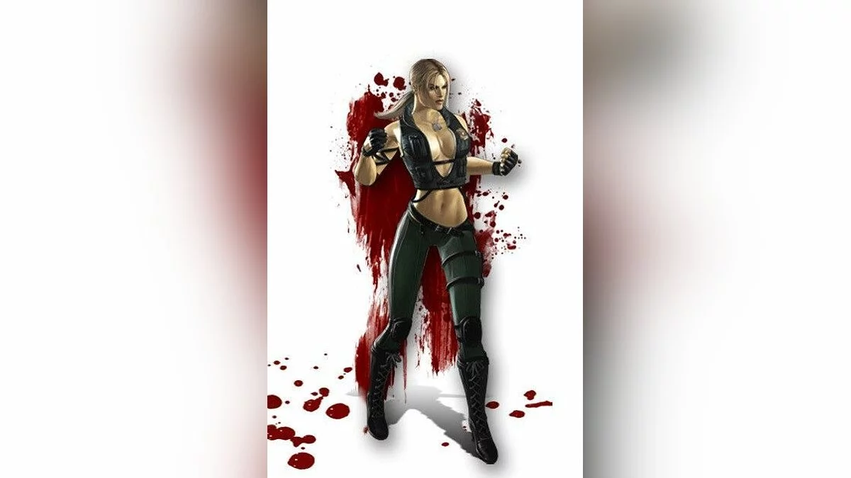 Девушки из Mortal Kombat / Картинка 39