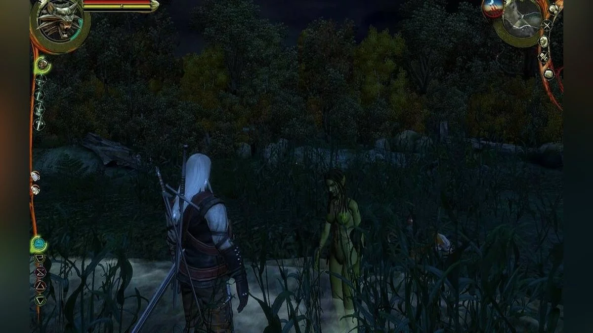 Скриншоты из The Witcher / Картинка 64