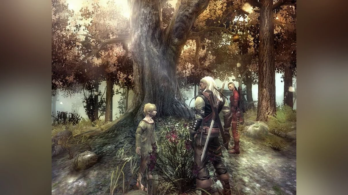 Скриншоты из The Witcher / Картинка 71