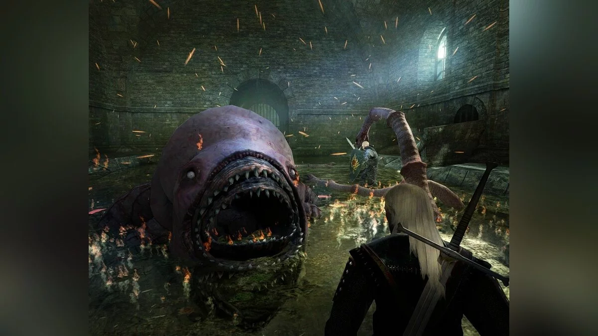 Скриншоты из The Witcher / Картинка 4