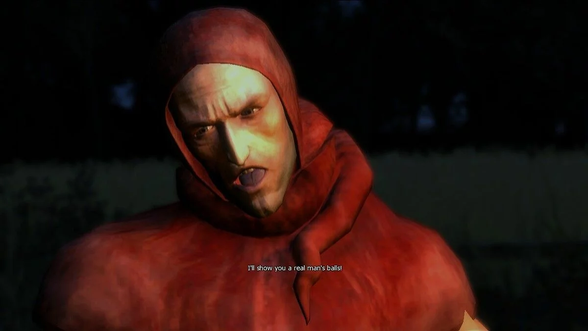 Скриншоты из The Witcher / Картинка 14