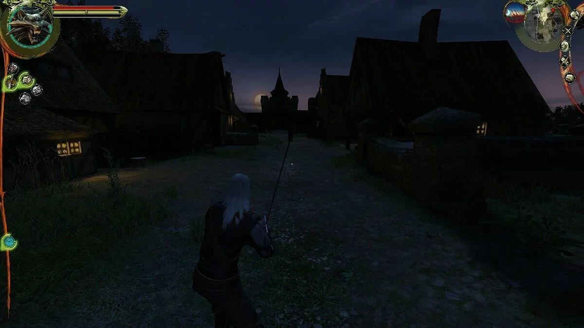 Скриншоты из The Witcher / Картинка 19