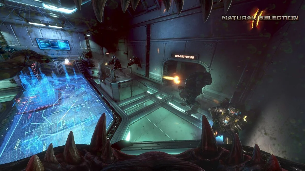 Картинка из 