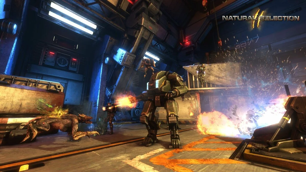 Картинка из 