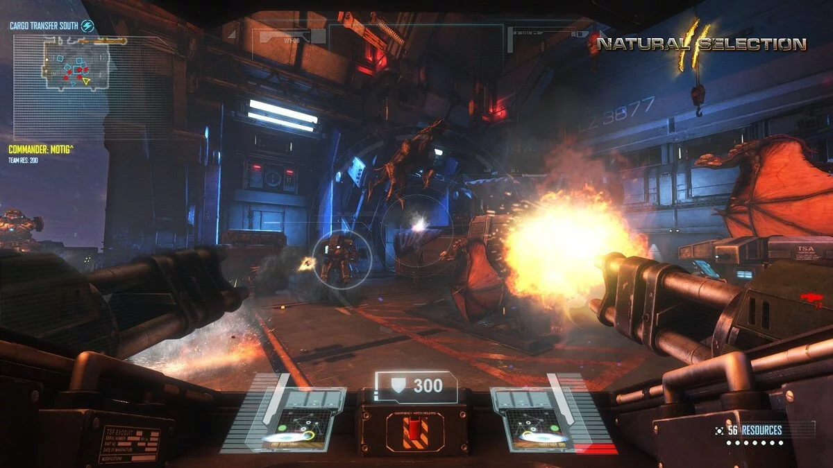 Картинка из 