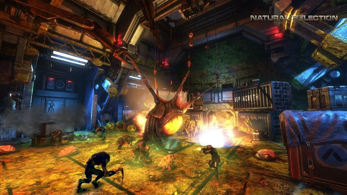 Картинка из 