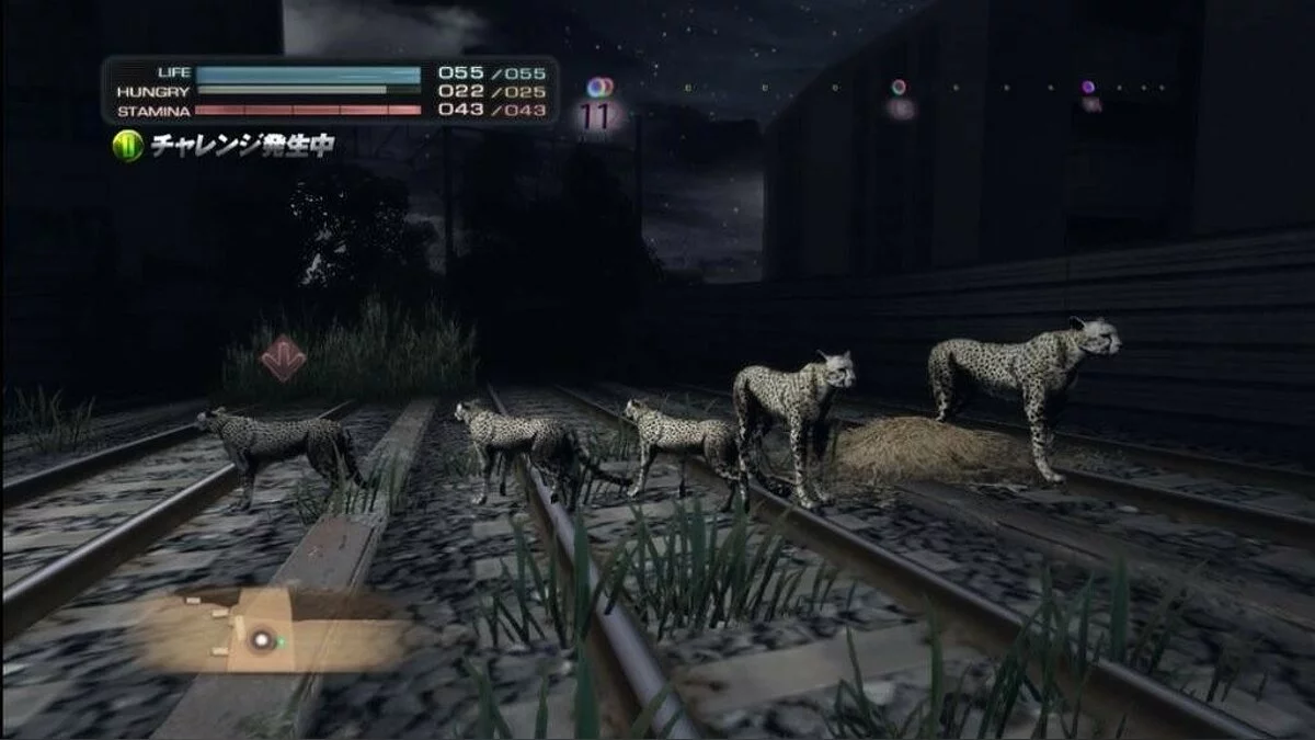 Картинка из 