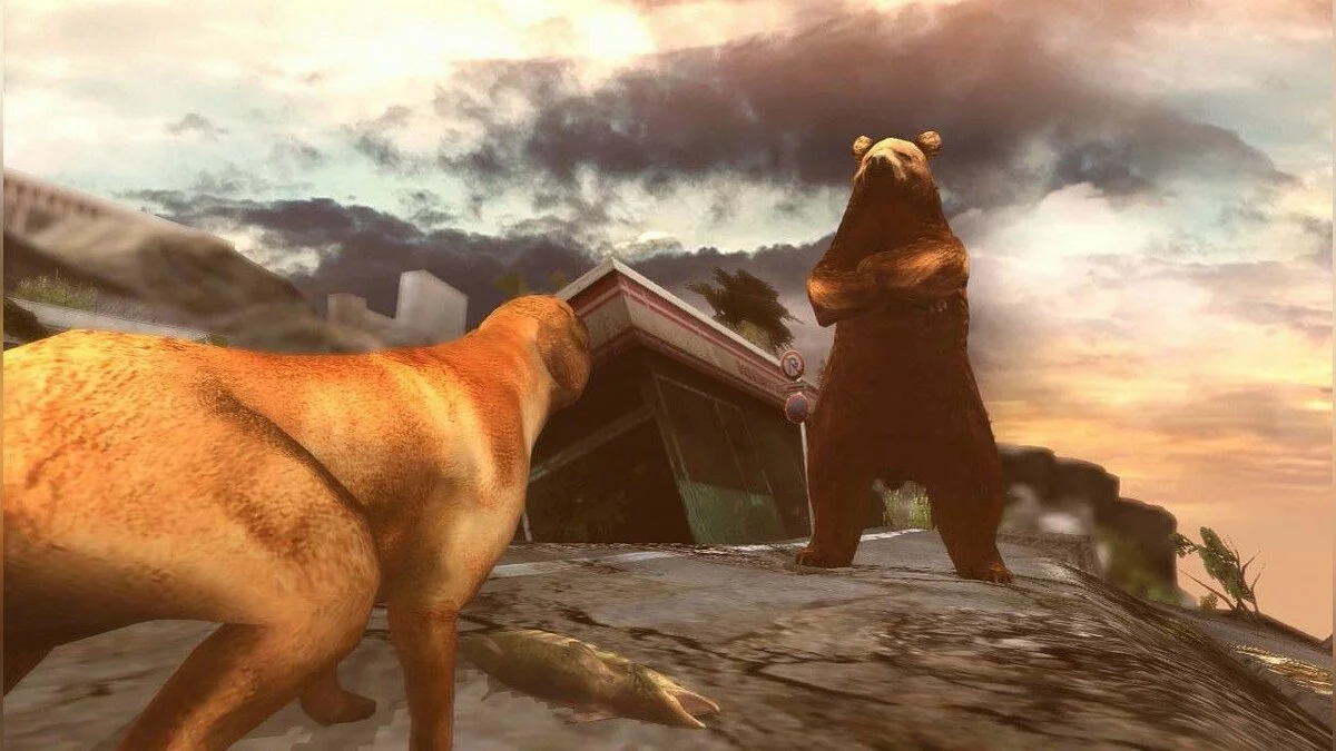 Картинка из 