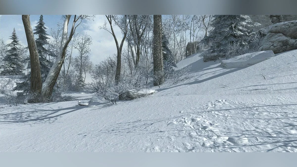 Скриншоты из Assassin's Creed 3 / Картинка 22