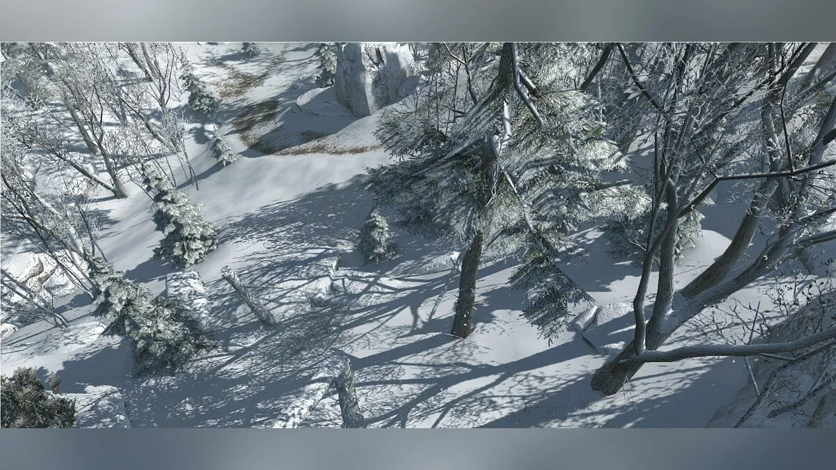 Скриншоты из Assassin's Creed 3 / Картинка 23