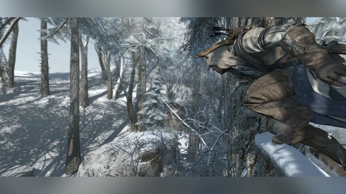 Скриншоты из Assassin's Creed 3 / Картинка 25