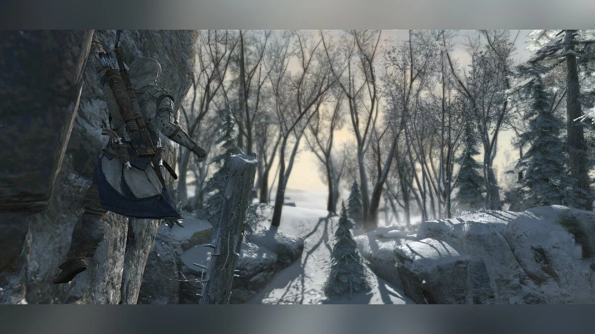 Скриншоты из Assassin's Creed 3 / Картинка 26