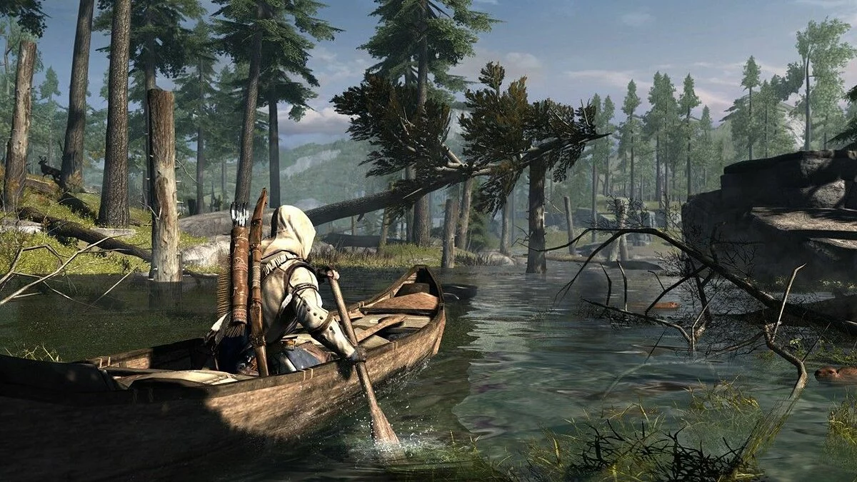 Скриншоты из Assassin's Creed 3 / Картинка 13