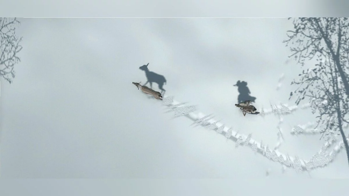 Скриншоты из Assassin's Creed 3 / Картинка 28