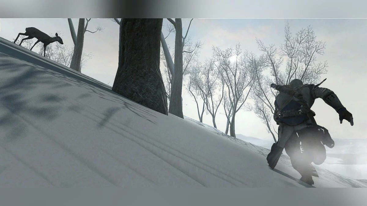 Скриншоты из Assassin's Creed 3 / Картинка 27