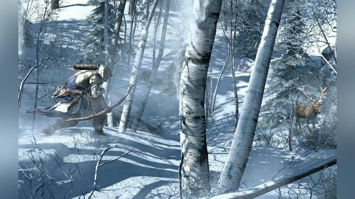 Скриншоты из Assassin's Creed 3 / Картинка 4