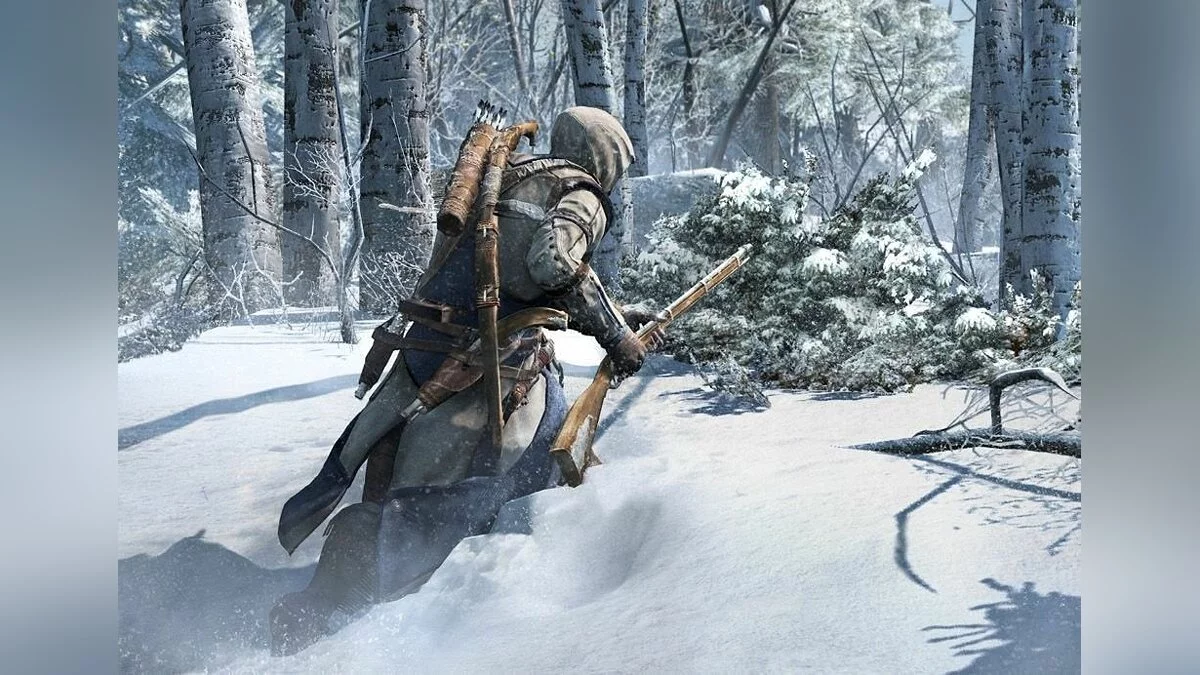 Скриншоты из Assassin's Creed 3 / Картинка 9