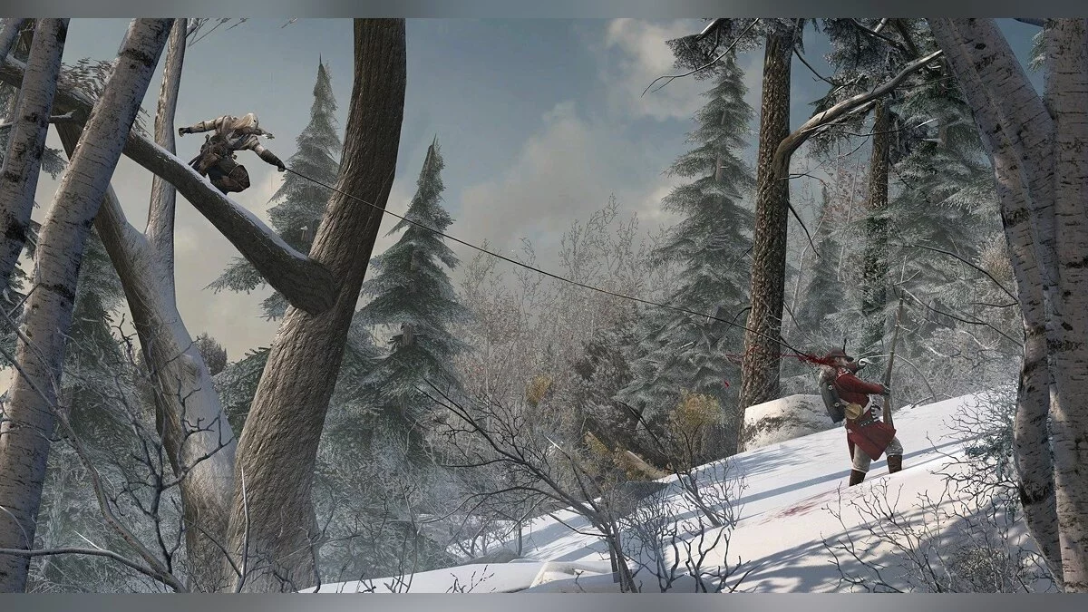 Скриншоты из Assassin's Creed 3 / Картинка 85