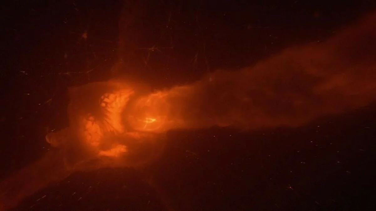 Скриншоты из Halo 4 / Картинка 412