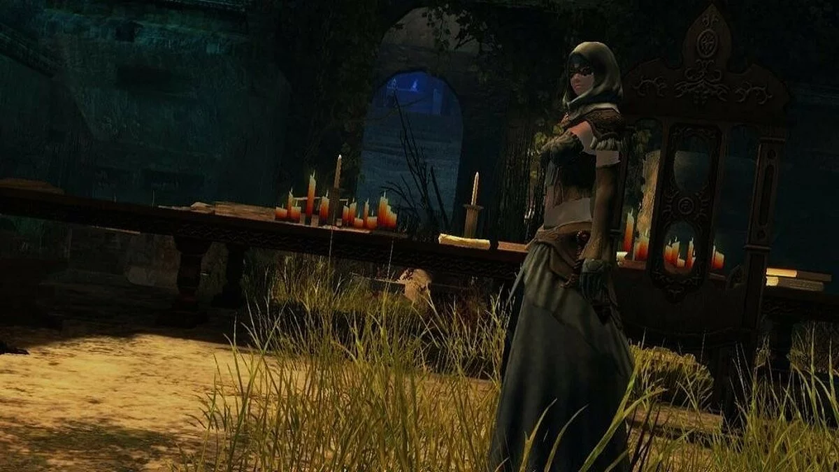 Скриншоты из Guild Wars 2 / Картинка 348