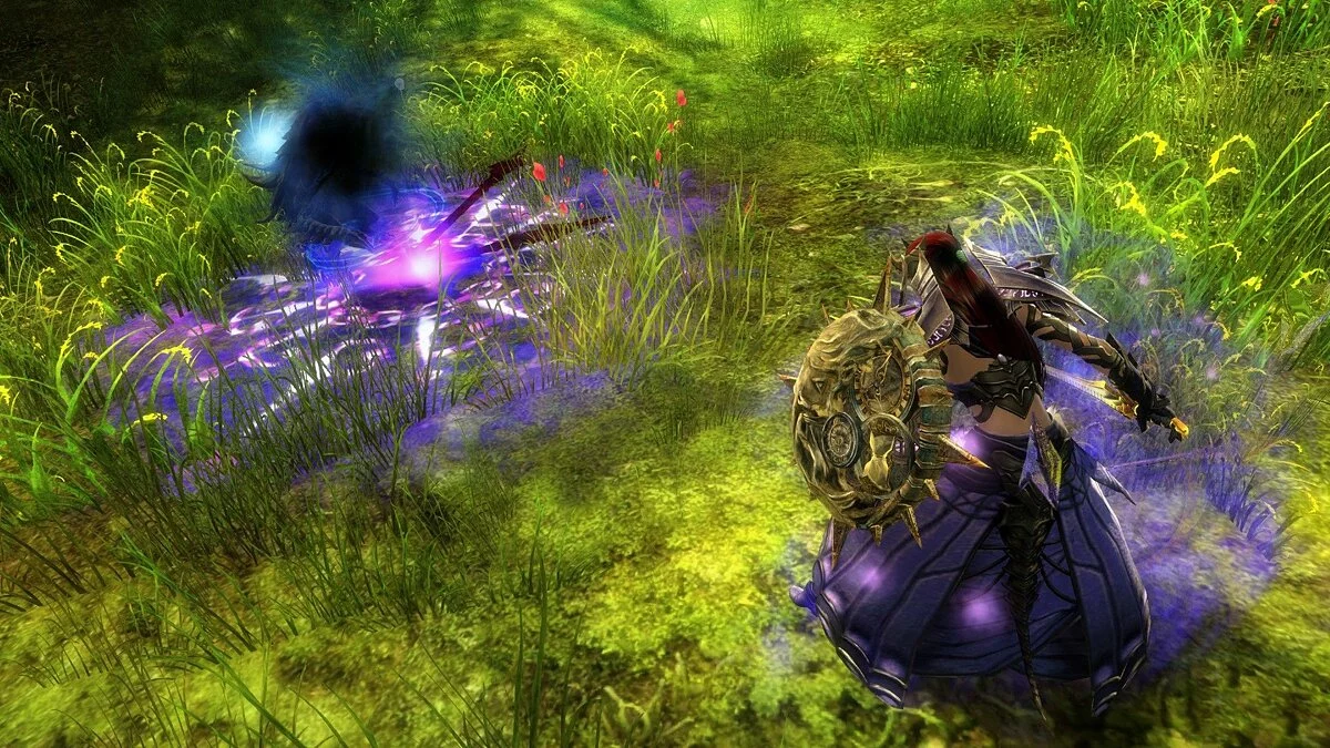 Скриншоты из Guild Wars 2 / Картинка 205