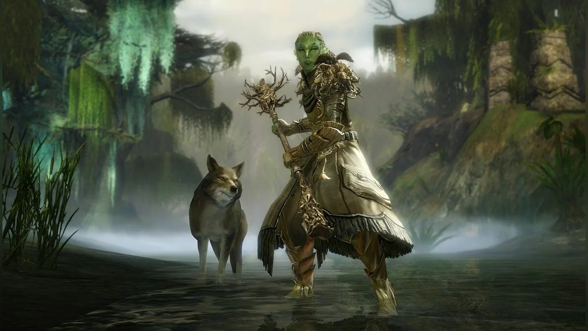 Скриншоты из Guild Wars 2 / Картинка 227