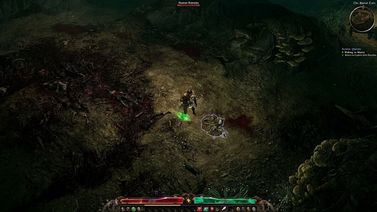 Grim Dawn не работает управление