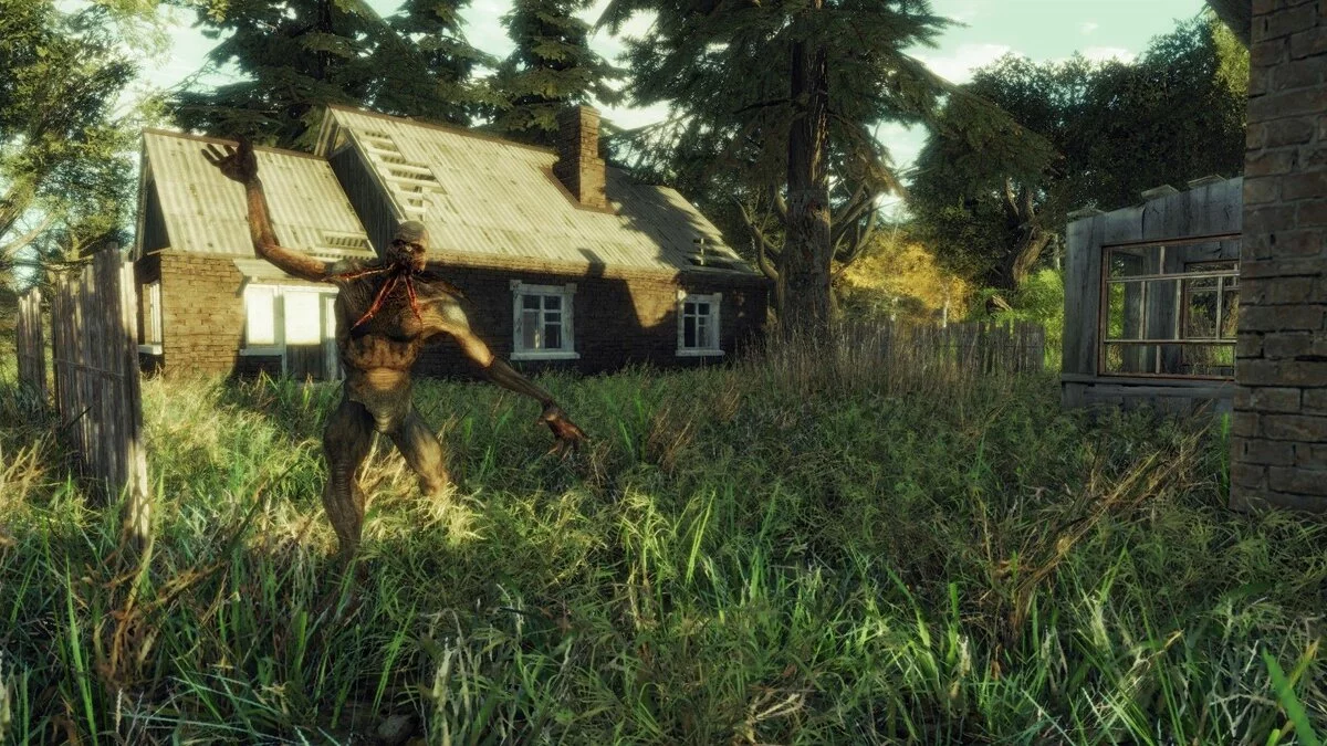 Картинка из 