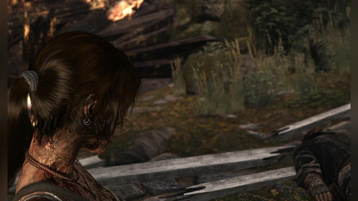 Скриншоты из Tomb Raider / Картинка 65