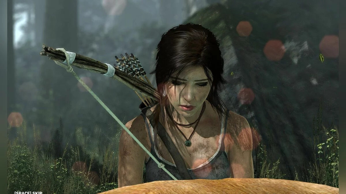 Скриншоты из Tomb Raider / Картинка 66
