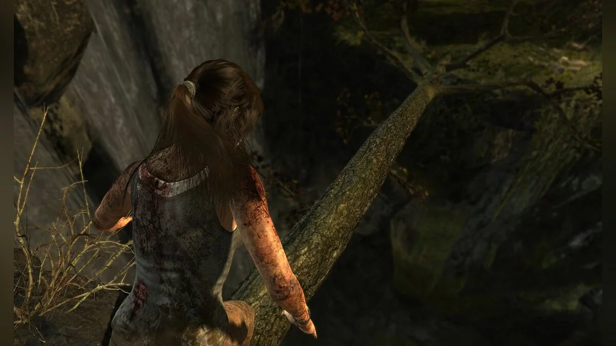 Скриншоты из Tomb Raider / Картинка 71