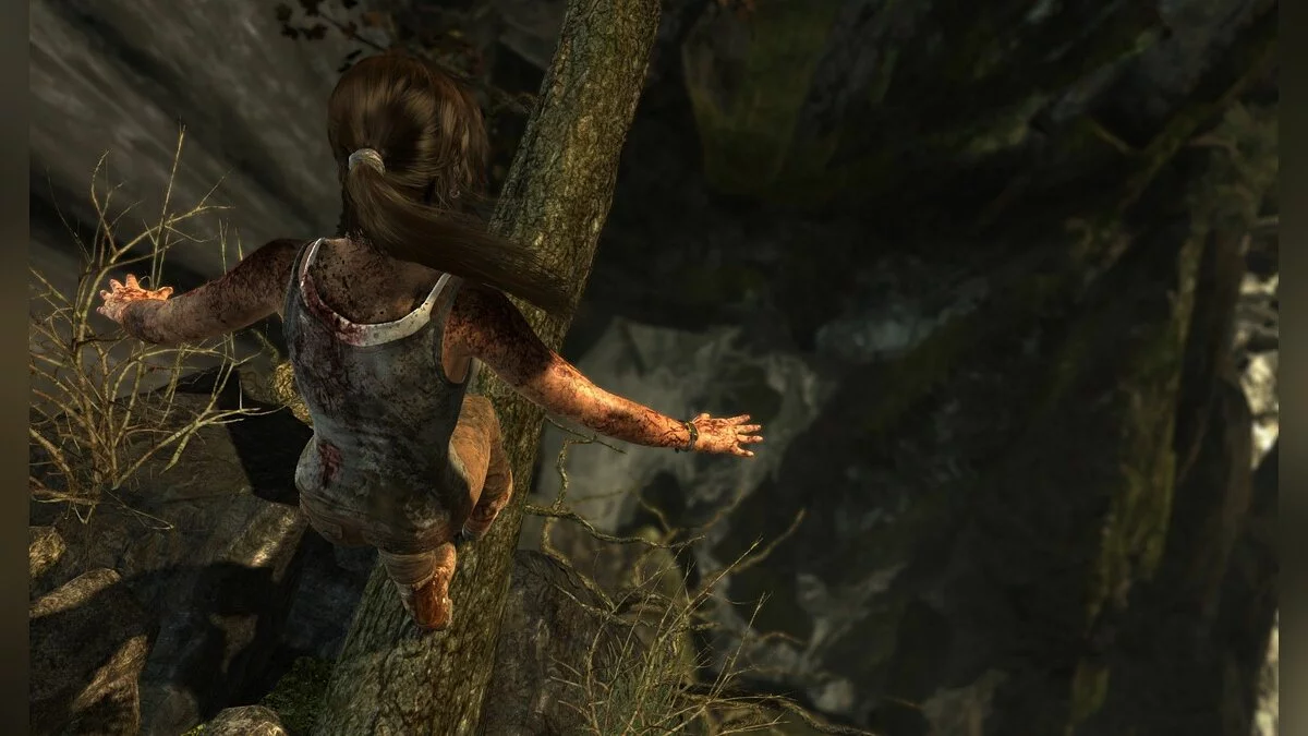 Скриншоты из Tomb Raider / Картинка 70