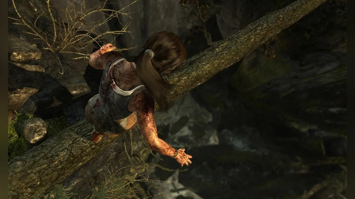Скриншоты из Tomb Raider / Картинка 73