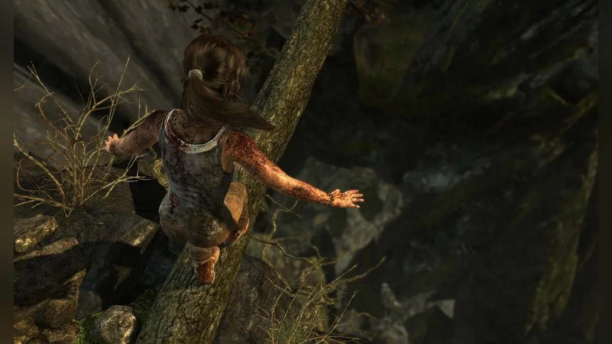 Скриншоты из Tomb Raider / Картинка 72