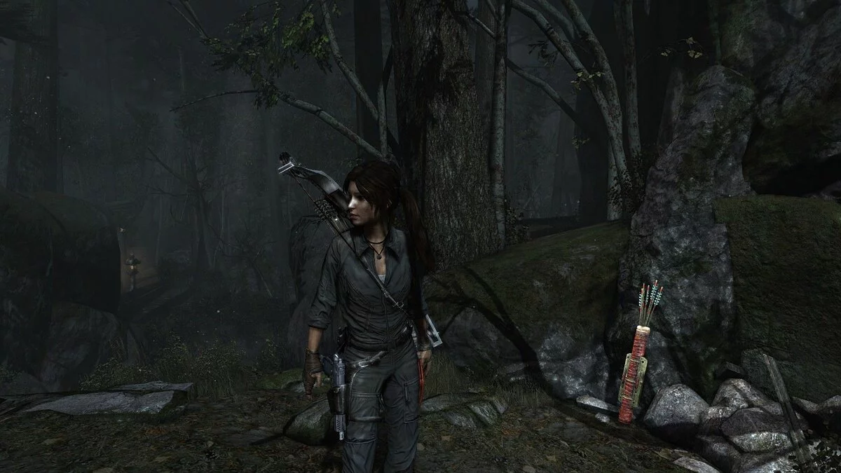 Скриншоты из Tomb Raider / Картинка 142