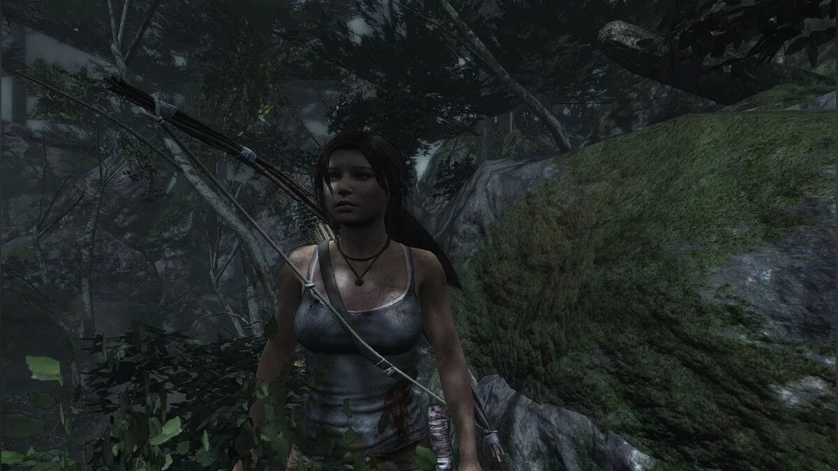 Скриншоты из Tomb Raider / Картинка 101