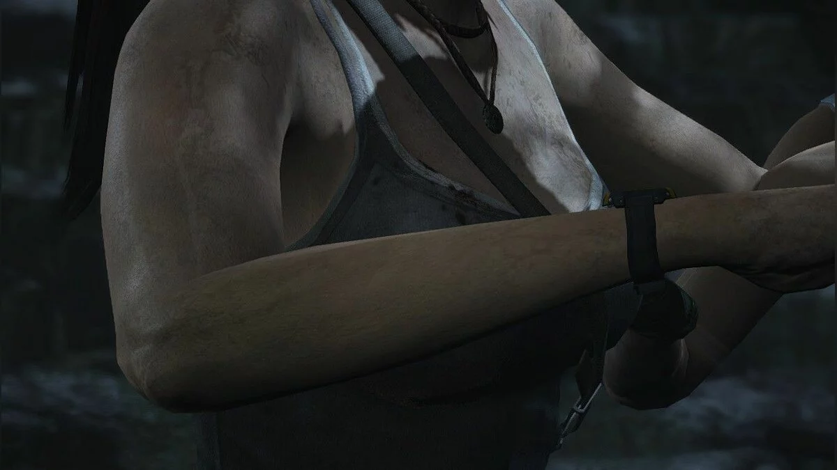 Скриншоты из Tomb Raider / Картинка 104