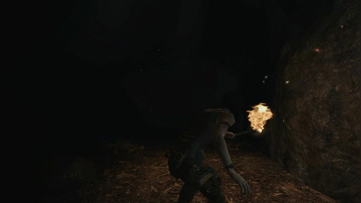 Скриншоты из Tomb Raider / Картинка 114