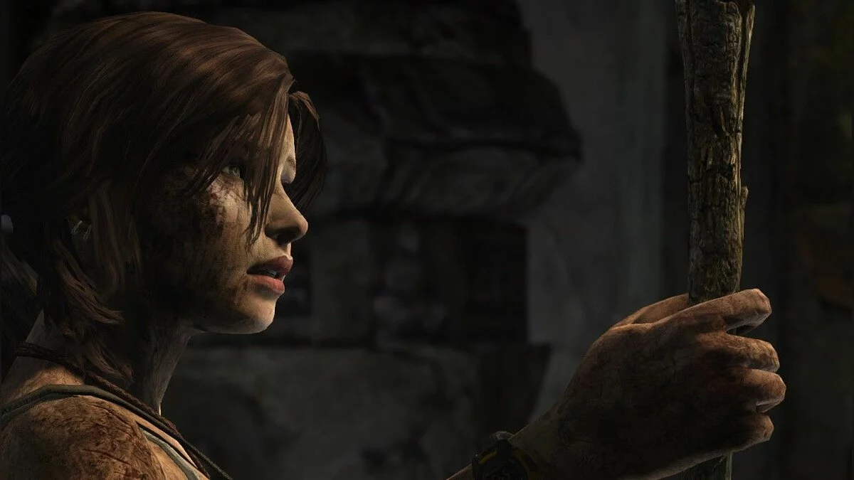 Скриншоты из Tomb Raider / Картинка 134