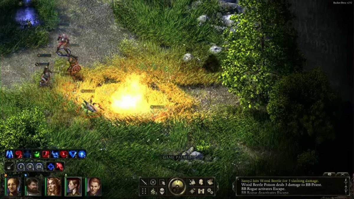 Pillars of Eternity - что это за игра, трейлер, системные требования,  отзывы и оценки, цены и скидки, гайды и прохождение, похожие игры Project  Eternity