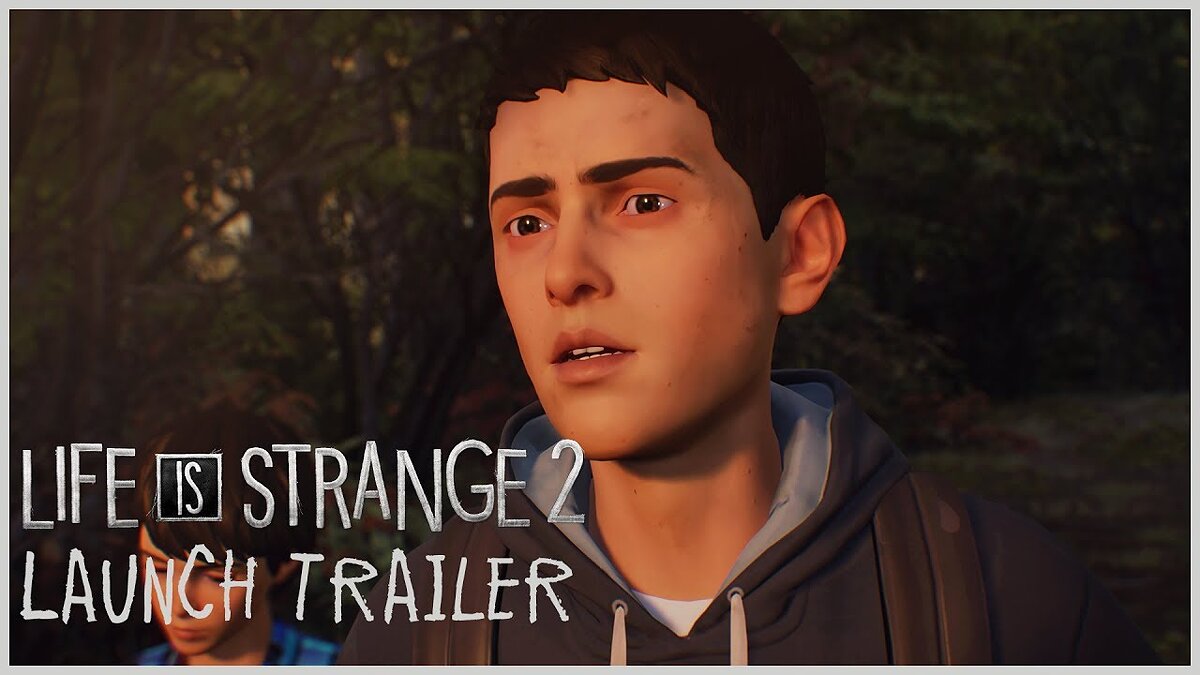 Гайды Life is Strange 2 - советы и руководства: как прокачаться, пройти  сложную миссию или заработать денег