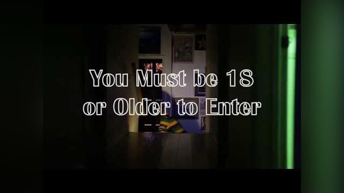 You Must be 18 or Older to Enter - что это за игра, трейлер, системные  требования, отзывы и оценки, цены и скидки, гайды и прохождение, похожие  игры