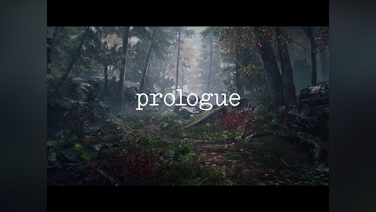 Prologue - что это за игра, когда выйдет, трейлер и видео, системные  требования, картинки, цена, похожие игры Artemis