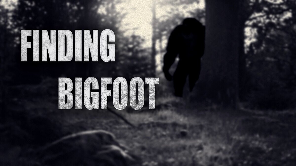 Системные требования BIGFOOT, проверка ПК, минимальные и рекомендуемые  требования игры