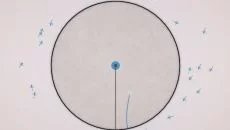 Eufloria - дата выхода для PC