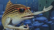 Fish - дата выхода для Commodore 64