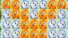 Fluffy Birds - дата выхода для iPhone