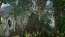 Forest (1980) - дата выхода для Commodore PET/CBM