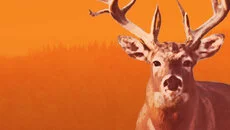 Hunting Unlimited 3 - дата выхода для PC