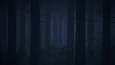 Image - дата выхода